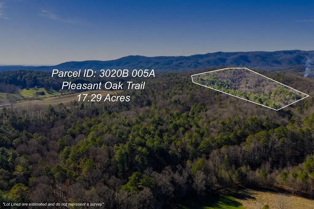 17.29 ac Pleasant Oak Trail, Ellijay, GA 30540 - #1