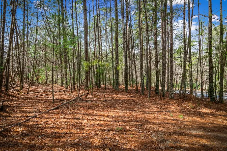 Lot 2326 Faraday Drive, Ellijay, GA 30540 - #2