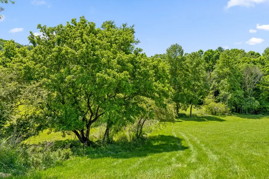 Lot 12 Squirrel Hunt Road, Morganton, GA 30560 - #3