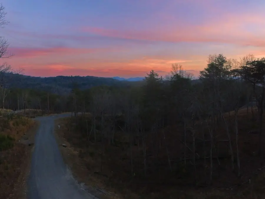 386 Mountain Laurel Ridge, Mineral Bluff, GA 30559 - #2