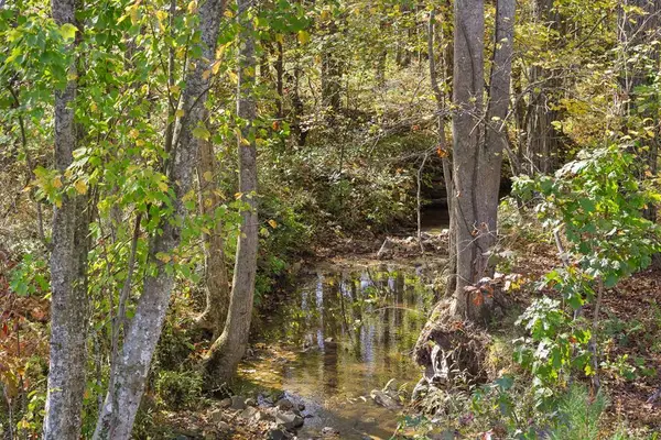 Lot 334 Twisted Oak Road, Talking Rock, GA 30175