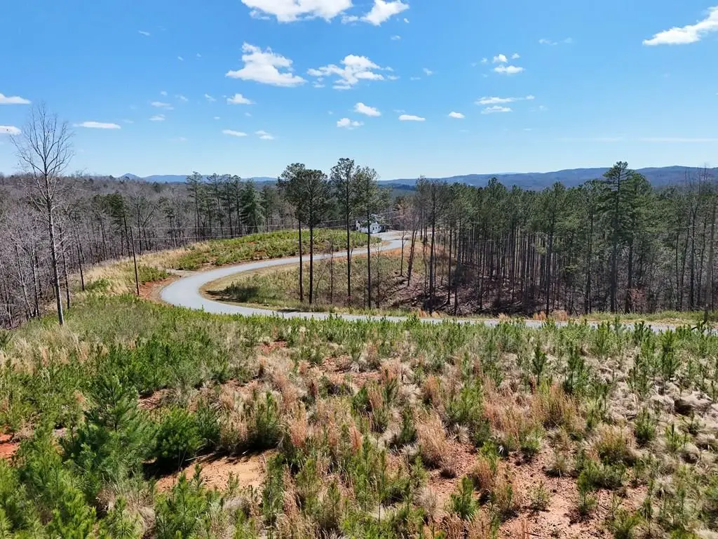 155 Shallow Water Trail, Talking Rock, GA 30175 - #1