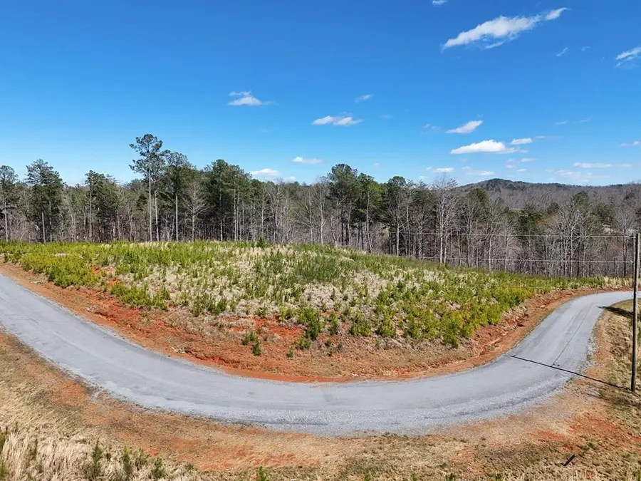 155 Shallow Water Trail, Talking Rock, GA 30175 - #2