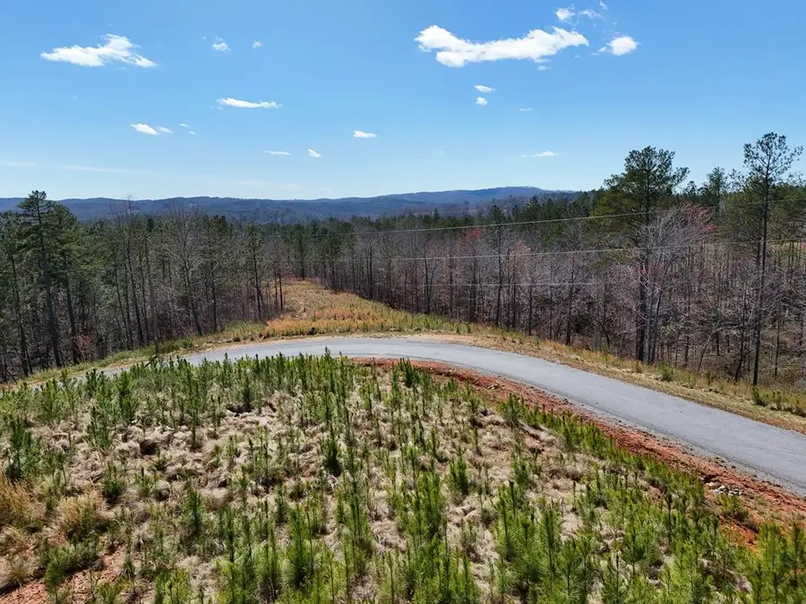 155 Shallow Water Trail, Talking Rock, GA 30175 - #3