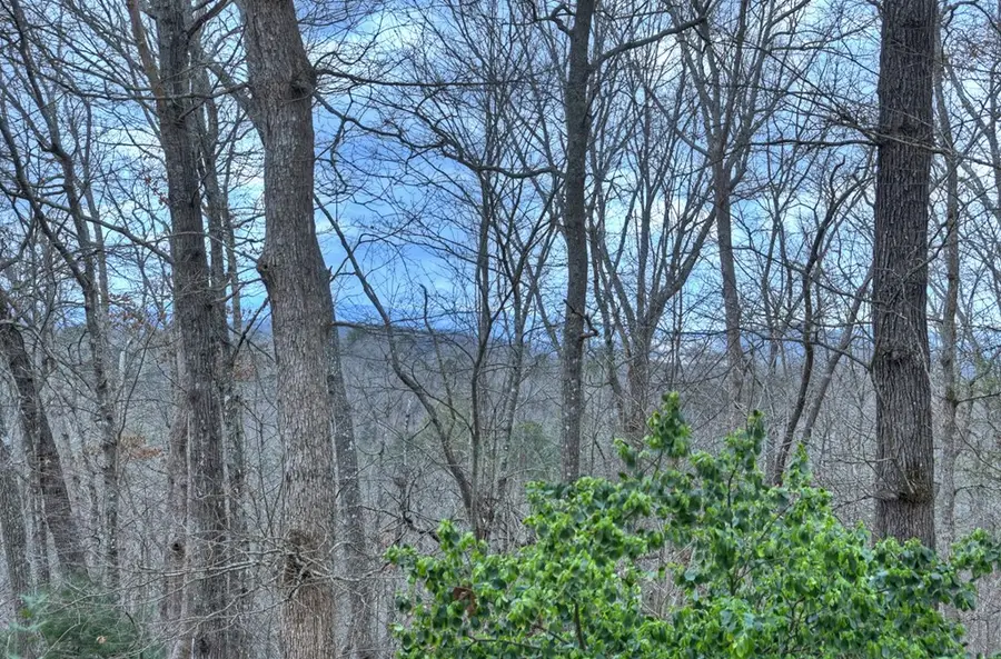 788 Lake Forest Drive, Blue Ridge, GA 30513 - #3