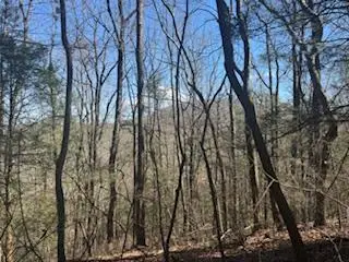 Lot 14 Butler Creek Road, Cherry Log, GA 30522 - #1