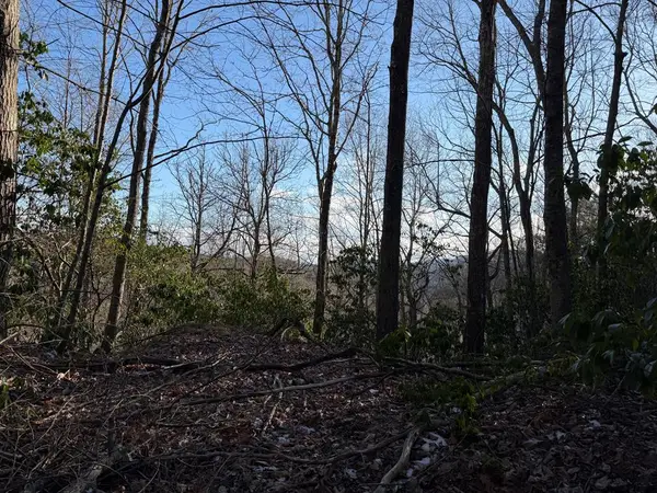 Lot 43 Laurel Lane, Murphy, NC 28906