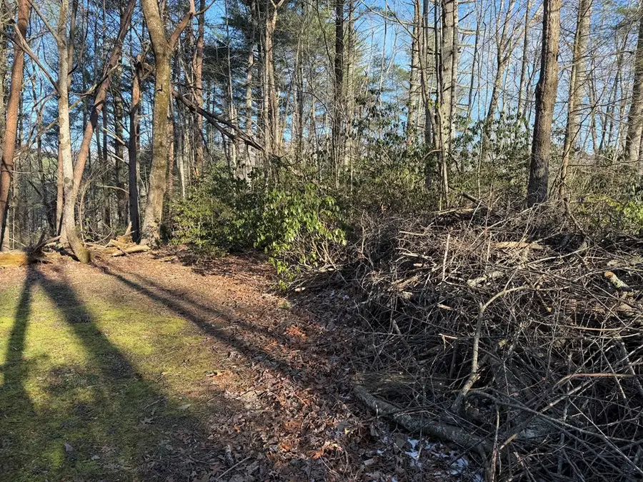 Lot 43 Laurel Lane, Murphy, NC 28906 - #2