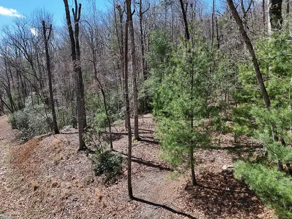 Lot 15 Native Trail, Blue Ridge, GA 30513