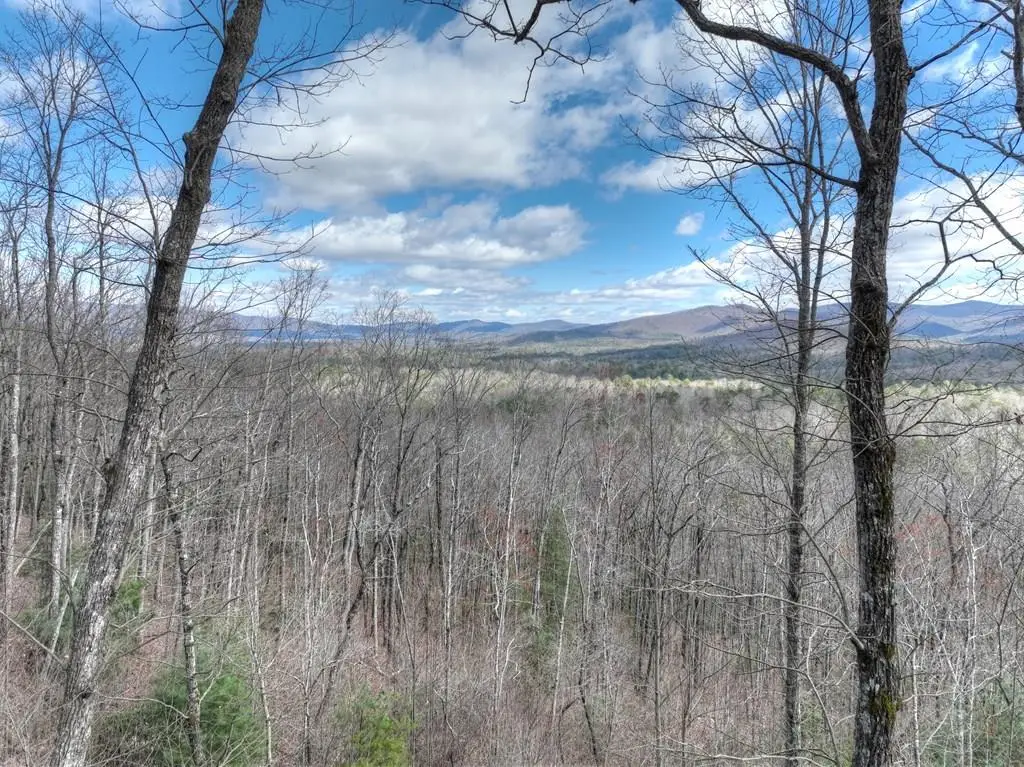 LT 14R Tanager Trail, Ellijay, GA 30536 - #1