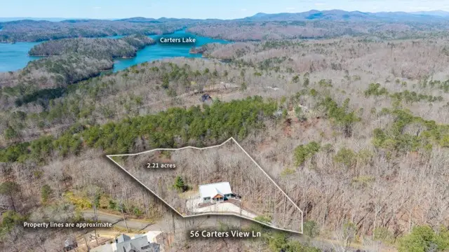 56 Carters View Lane, Ellijay, GA 30540 - #3