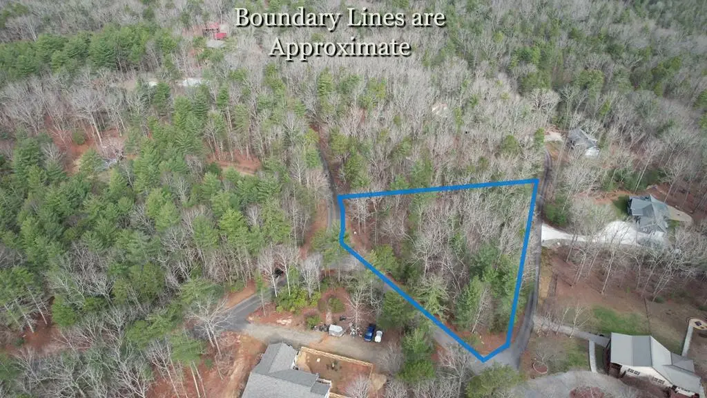 lot 12 Deer Forest, Morganton, GA 30560 - #1
