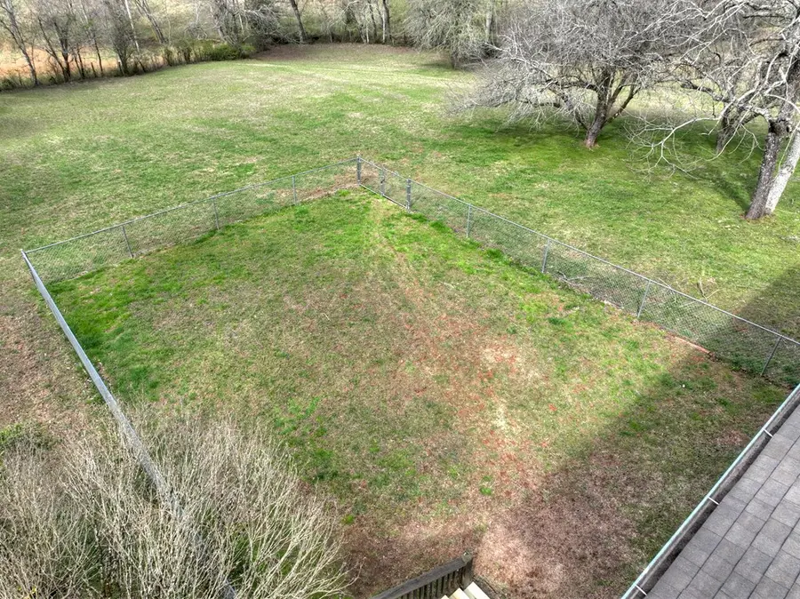 2882 Cutcane Road, Mineral Bluff, GA 30559 - #3