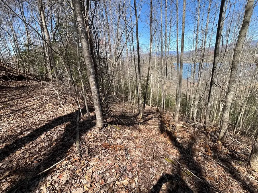 Tract 1 Brer Fox Ridge, Hiawassee, GA 30546 - #2