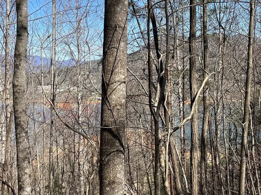 Tract 1 Brer Fox Ridge, Hiawassee, GA 30546 - #3