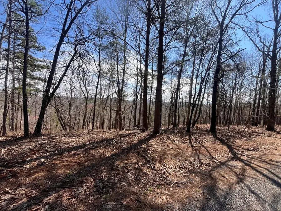 Lt 156 Drena Drive, Ellijay, GA 30540 - #2