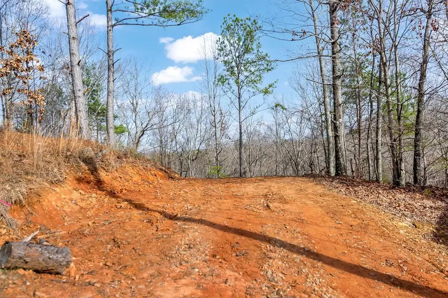 30 William Way, Ellijay, GA 30540 - #2