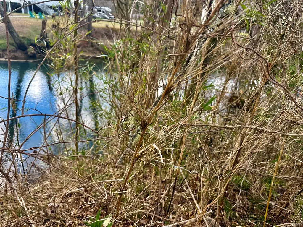 0 Butterball Boulevard, Murphy, NC 28906 - #1