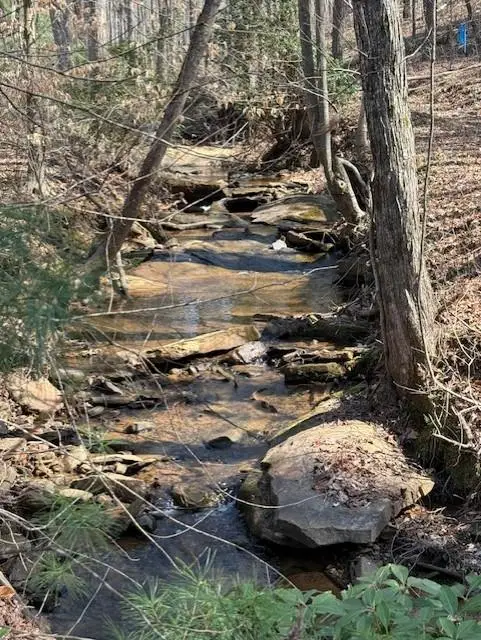 Lot 339 Timber Creek Trail, Talking Rock, GA 30175
