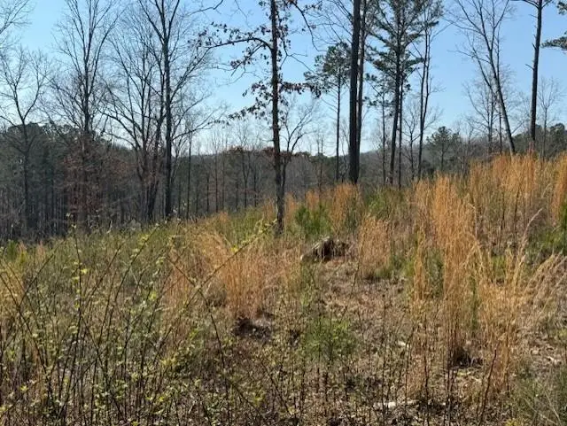 Lot 339 Timber Creek Trail, Talking Rock, GA 30175 - #2