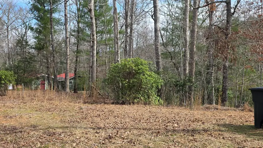 Lot 24 Pine Log Circle, Warne, NC 28909 - #3