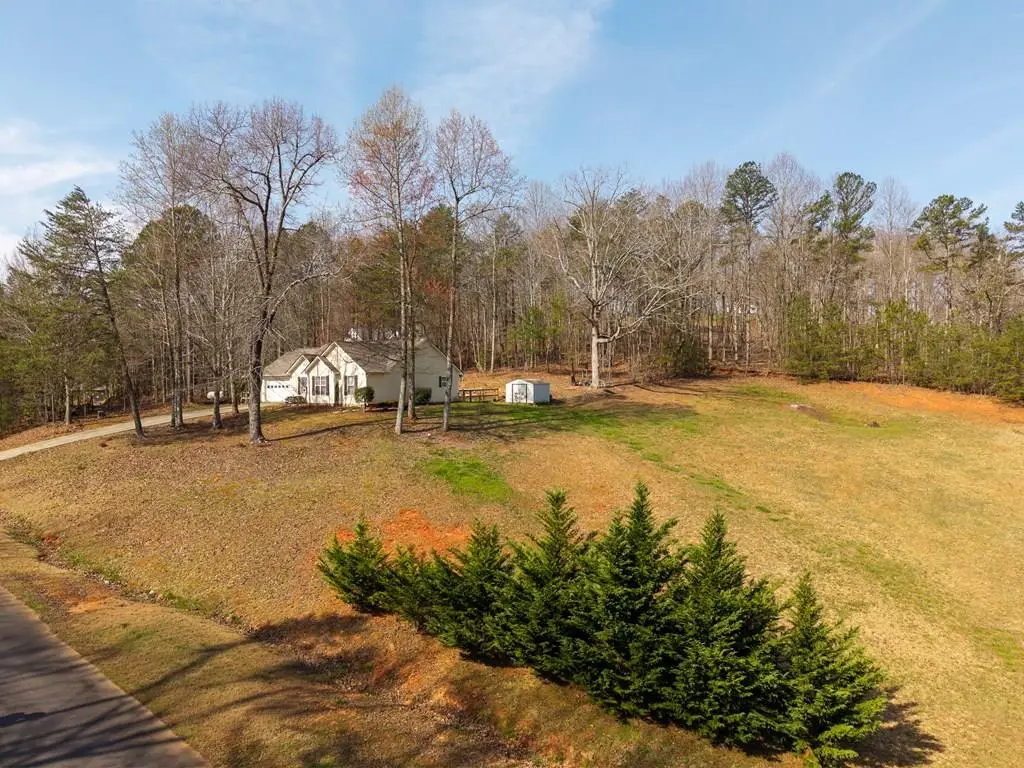 46 Orman Drive, Ellijay, GA 30540 - #1