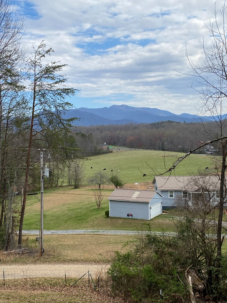 249 Shady Grove Lane, Hayesville, NC 28904 - #2
