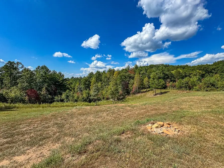 10007 Joe Brown Hwy, Murphy, NC 28906 - #3