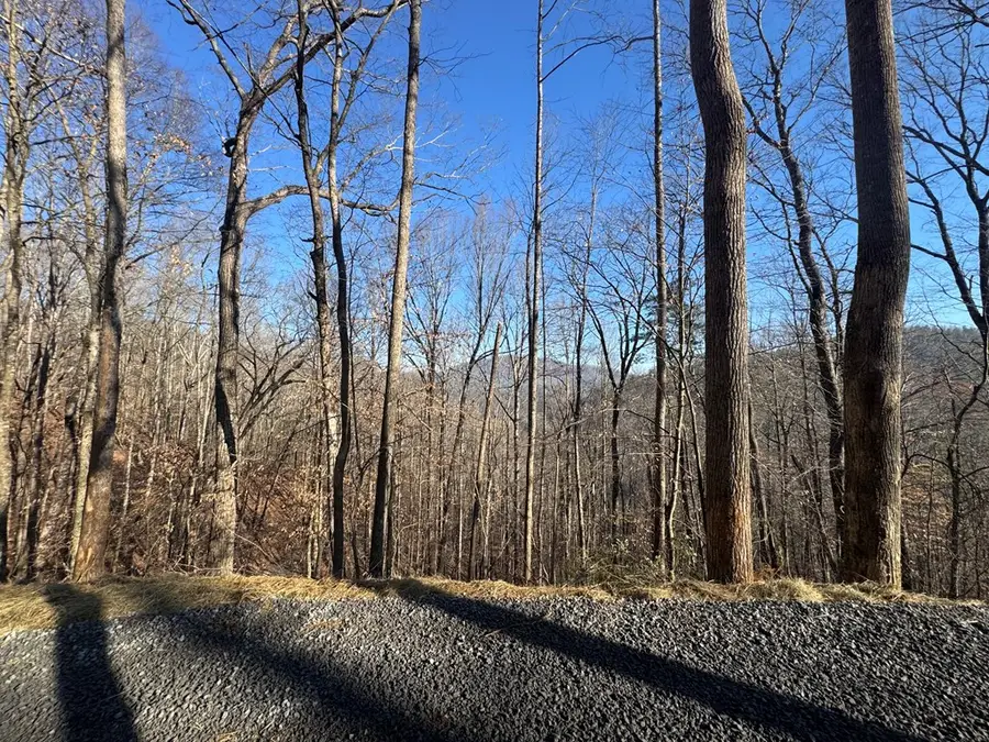 2.2 Acre Heavens Gateway, Suches, GA 30572 - #3