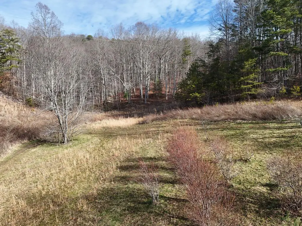 Lot 1 Jordan Road, Blairsville, GA 30512 - #1