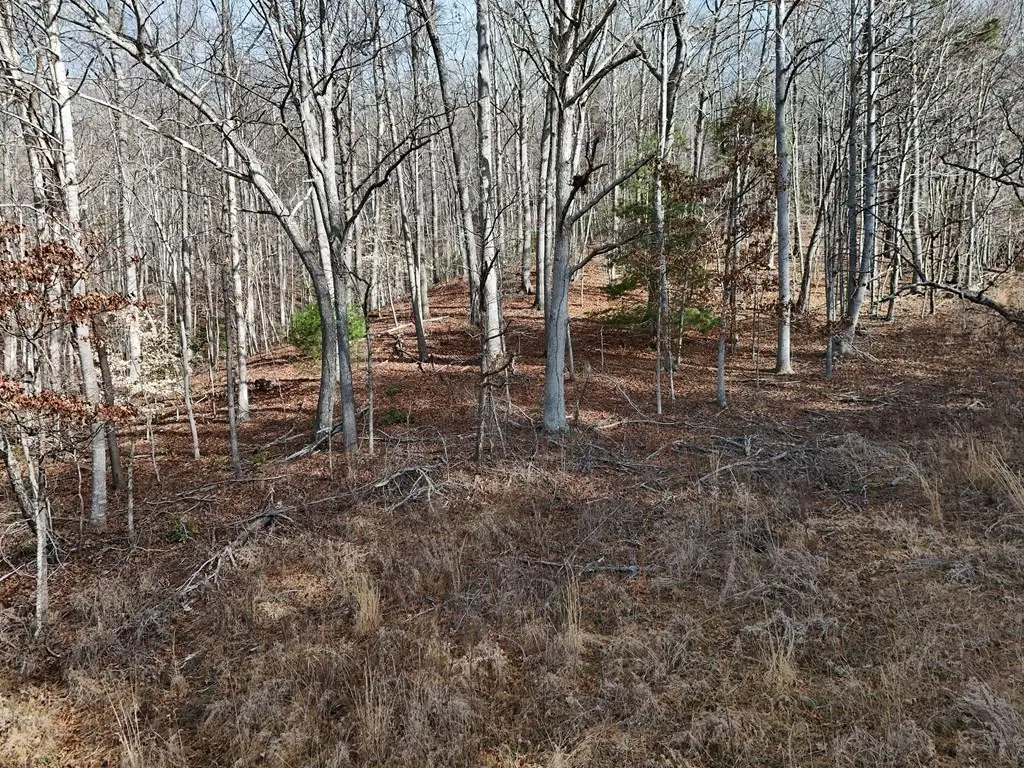 Lot 2 Jordan Road, Blairsville, GA 30512 - #1