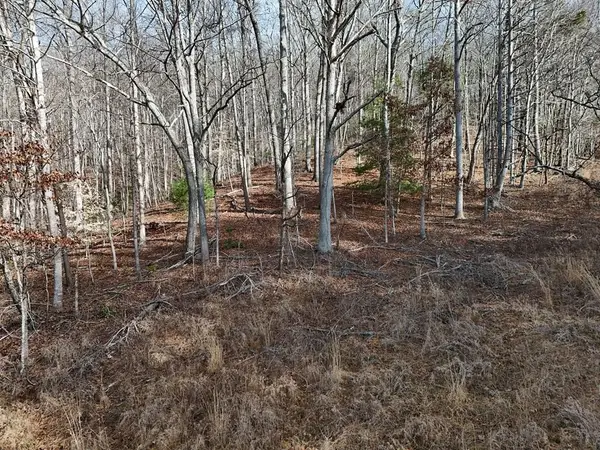 Lot 2 Jordan Road, Blairsville, GA 30512