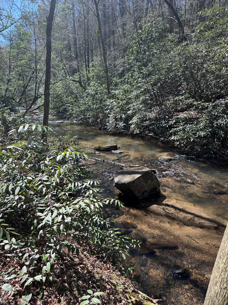 00 Virginia Lane, Murphy, NC 28906 - #3