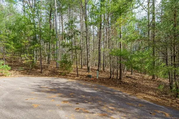 Lot 6 Hampton Road, Morganton, GA 30560