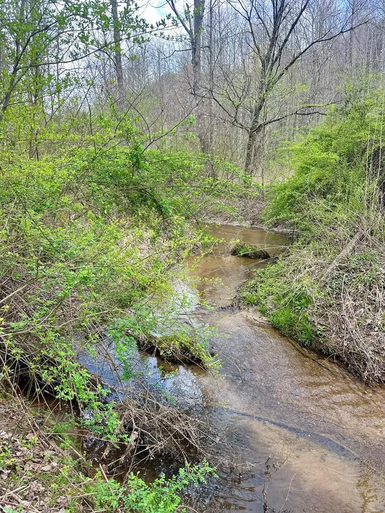 Lot 1 S Blue Horizon Drive, Blue Ridge, GA 30513 - #1