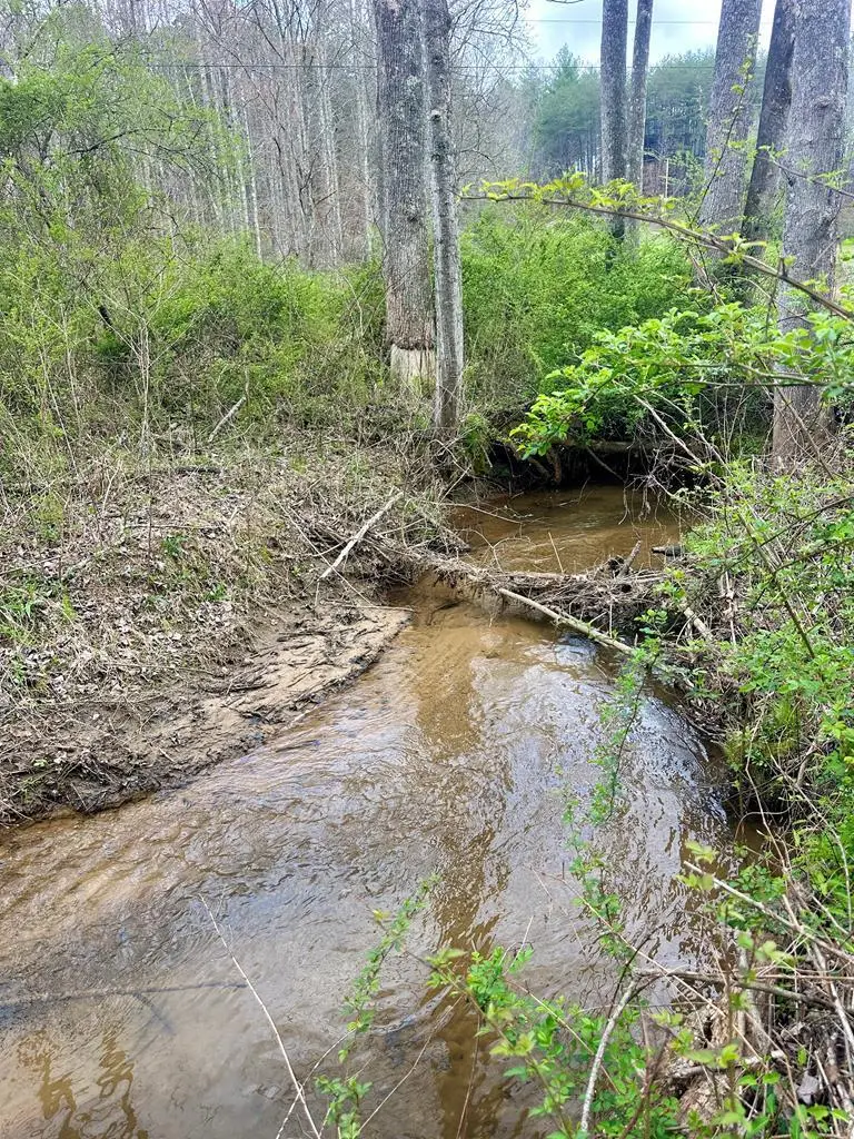 Lot 1 S Blue Horizon Drive, Blue Ridge, GA 30513 - #2