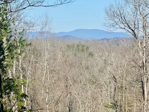 Lot 5 Blue Horizon Drive, Blue Ridge, GA 30513