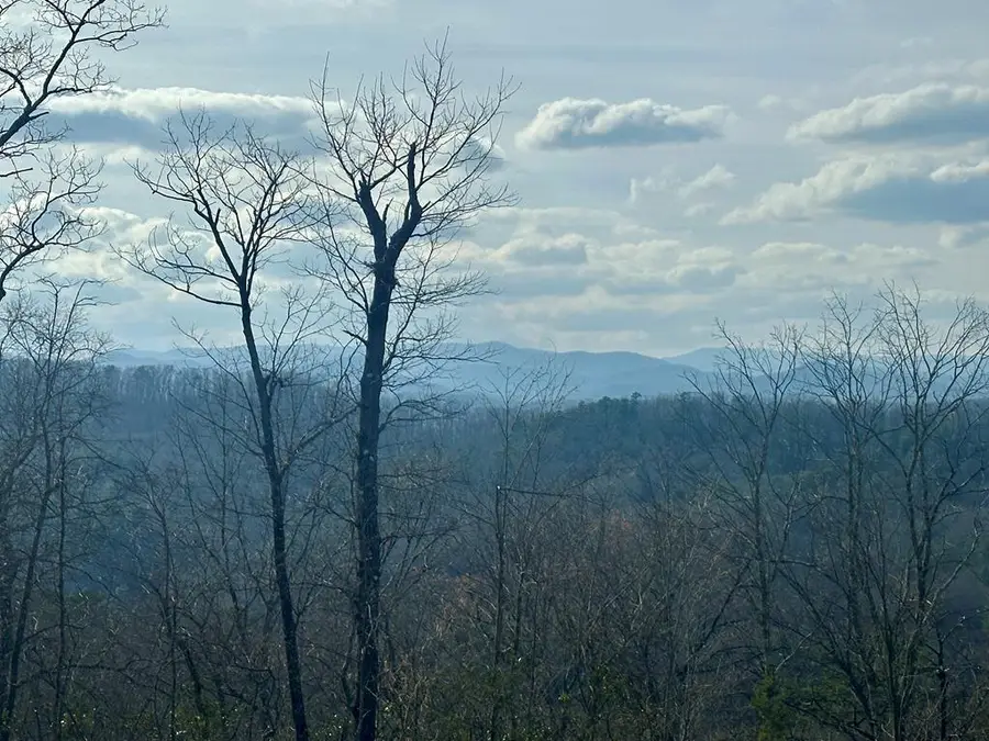 Lot 5 Blue Horizon Drive, Blue Ridge, GA 30513 - #2