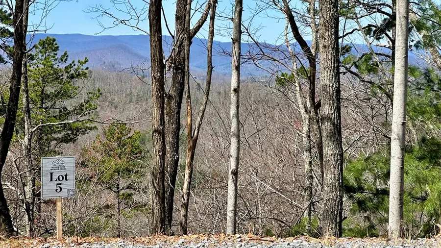 Lot 5 Blue Horizon Drive, Blue Ridge, GA 30513 - #3