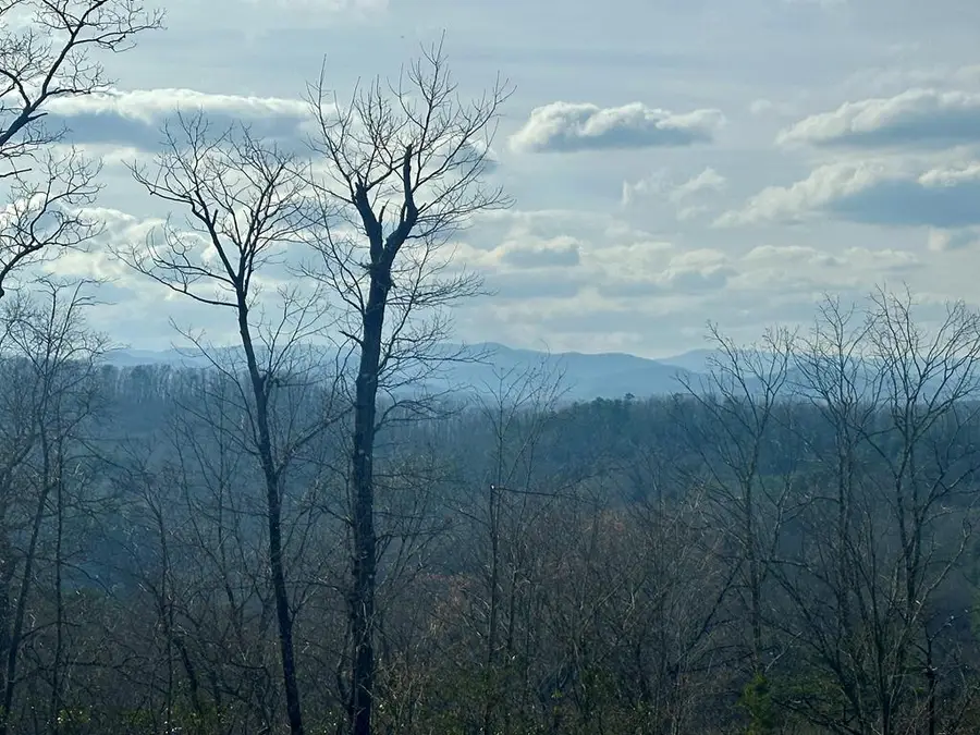 Lot 6 Blue Horizon Drive, Blue Ridge, GA 30513 - #2