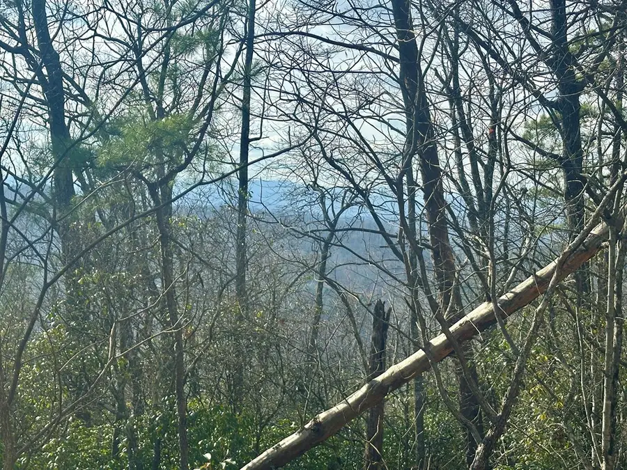 Lot 6 Blue Horizon Drive, Blue Ridge, GA 30513 - #3