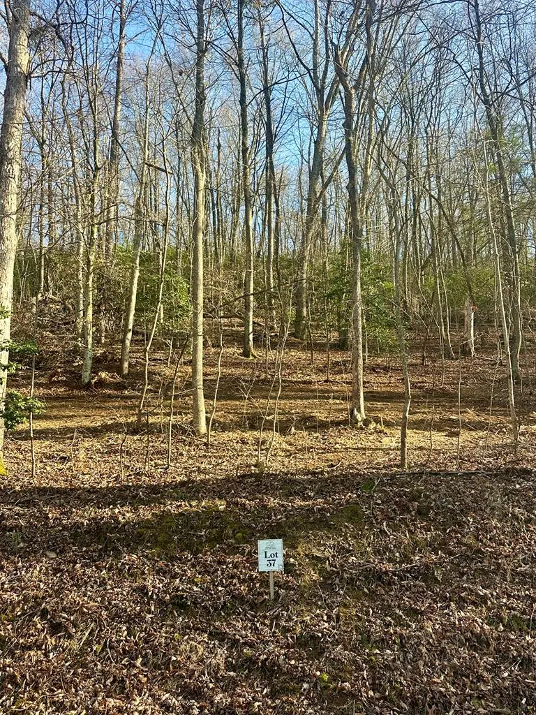 Lot 37 Blue Horizon Drive, Blue Ridge, GA 30513 - #1