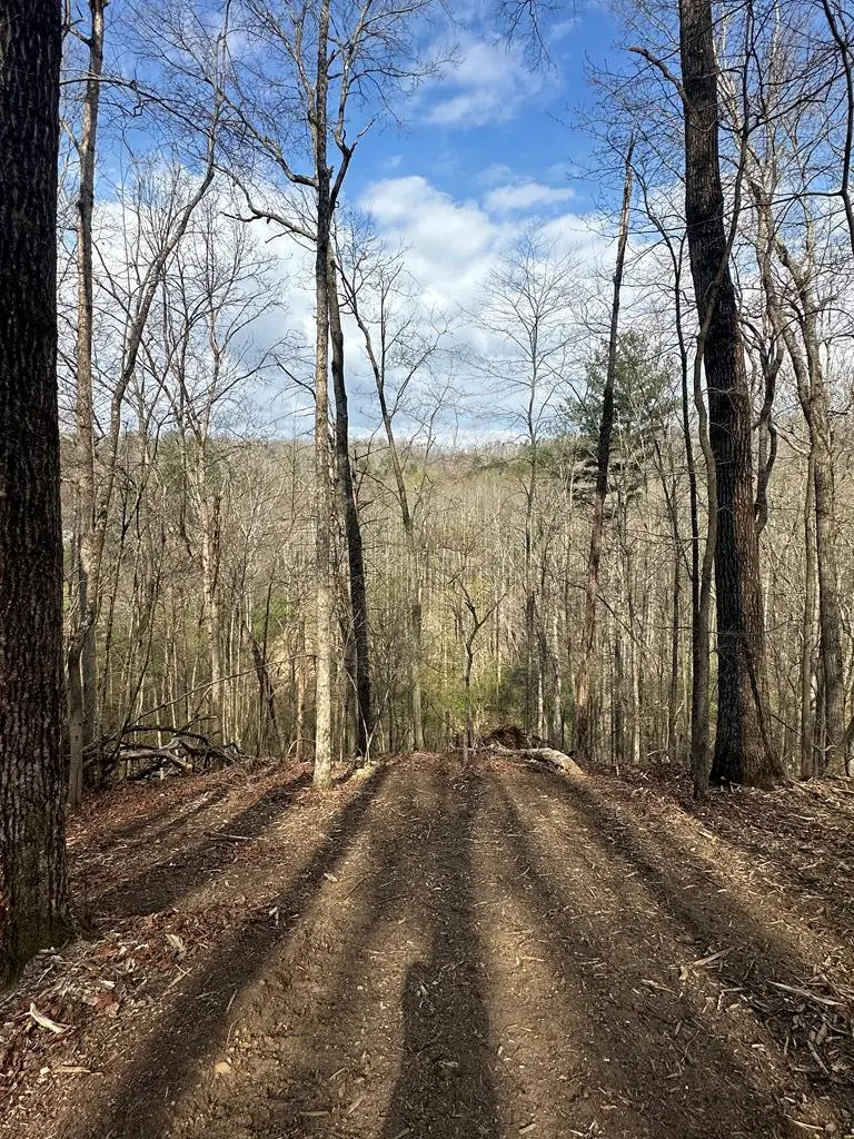 Lot 38 Blue Horizon Drive, Blue Ridge, GA 30513 - #1