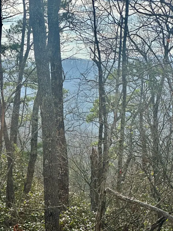 Lot 8 Sapphire Ridge, Blue Ridge, GA 30513
