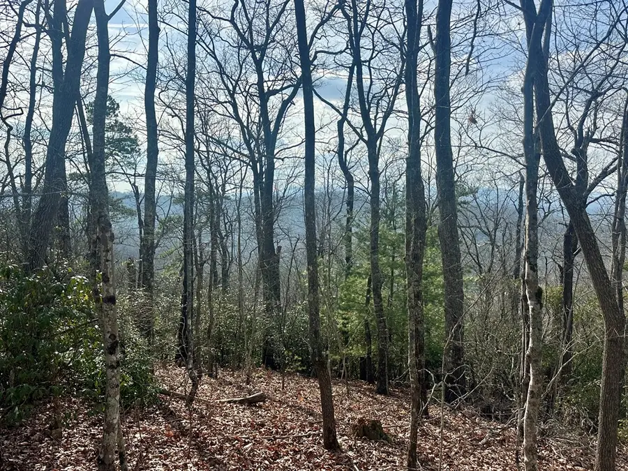 Lot 8 Sapphire Ridge, Blue Ridge, GA 30513 - #2