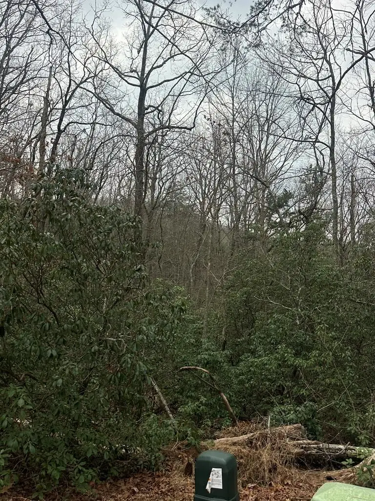 Lot 13 Sapphire Ridge, Blue Ridge, GA 30513 - #1
