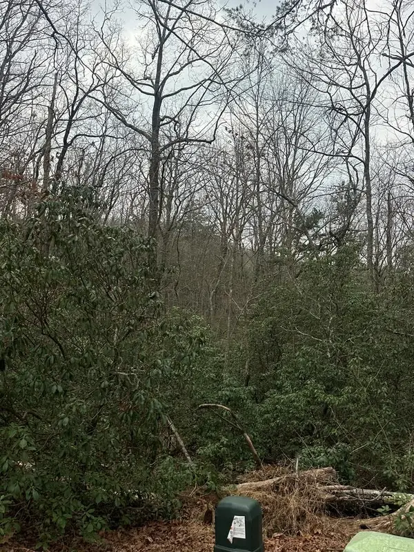 Lot 13 Sapphire Ridge, Blue Ridge, GA 30513