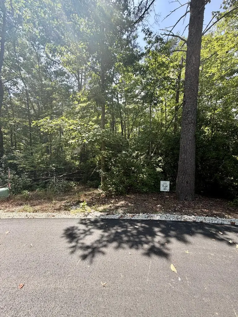 Lot 13 Sapphire Ridge, Blue Ridge, GA 30513 - #2