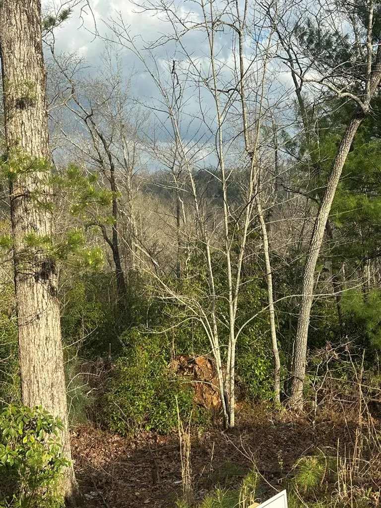 Lot 19 Turquoise Ridge, Blue Ridge, GA 30513 - #1