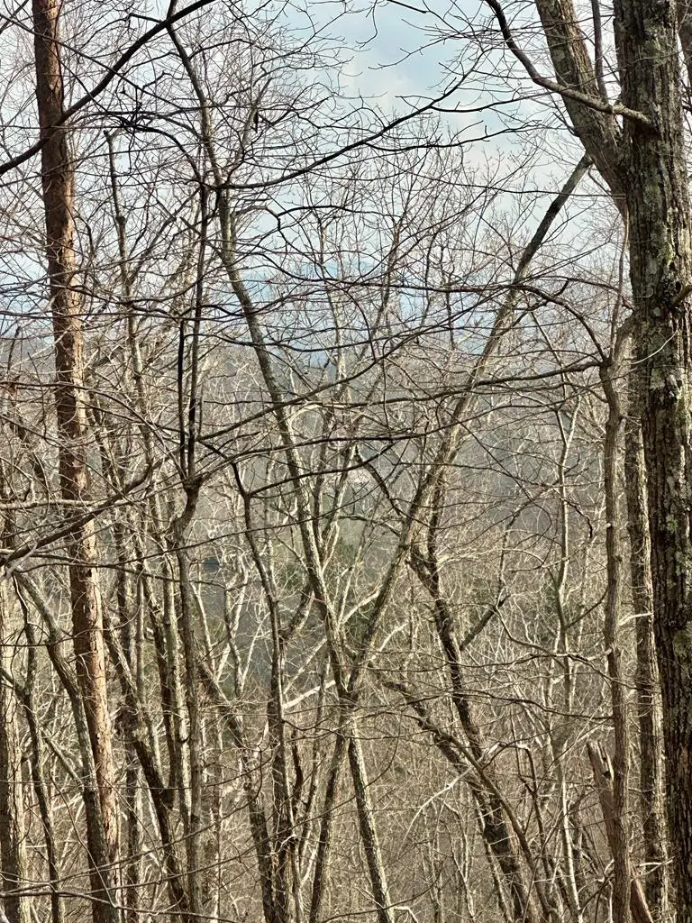 Lot 27 Prospect Ridge, Blue Ridge, GA 30513 - #1